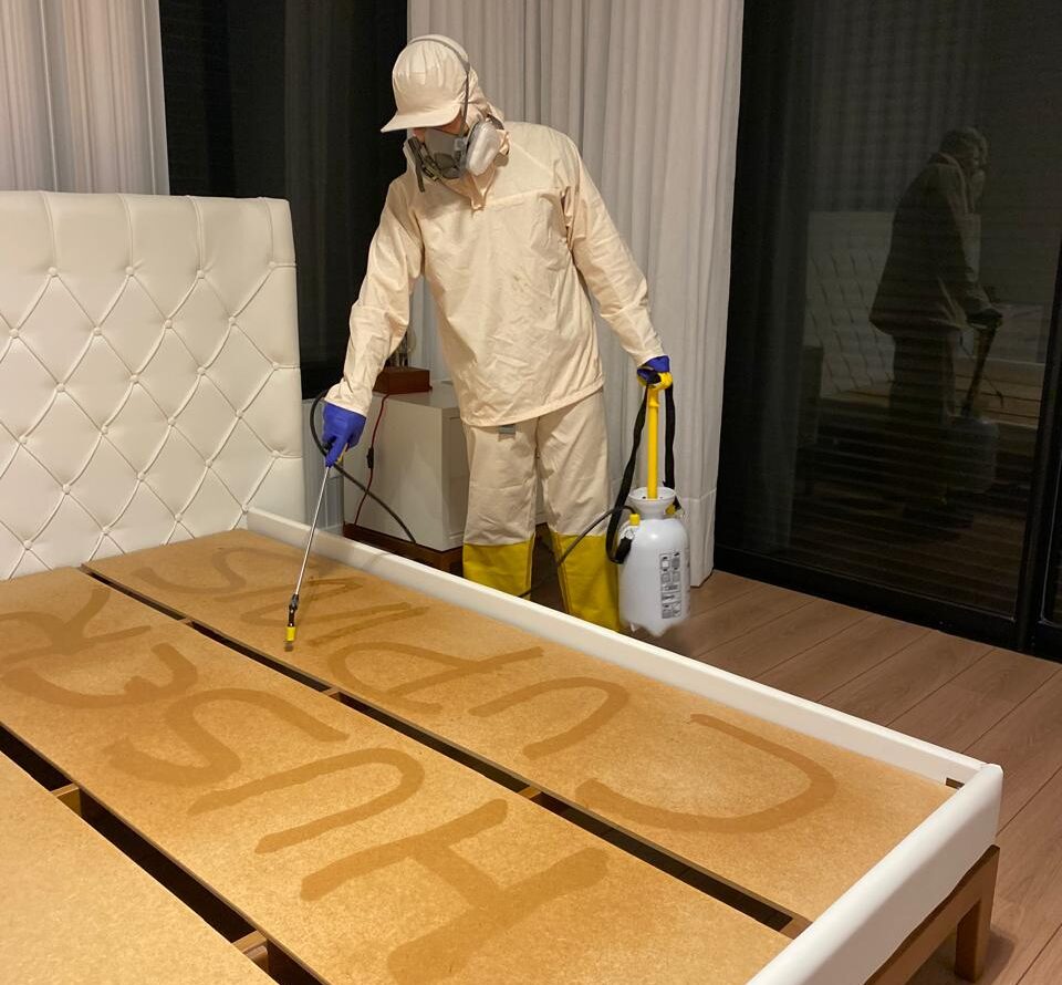 Huser-tratamento-de-cupins-em-moveis